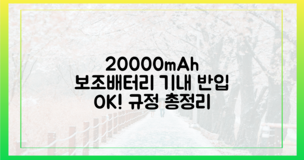 20000mAh 보조배터리, 기내 반입 규정 총정리