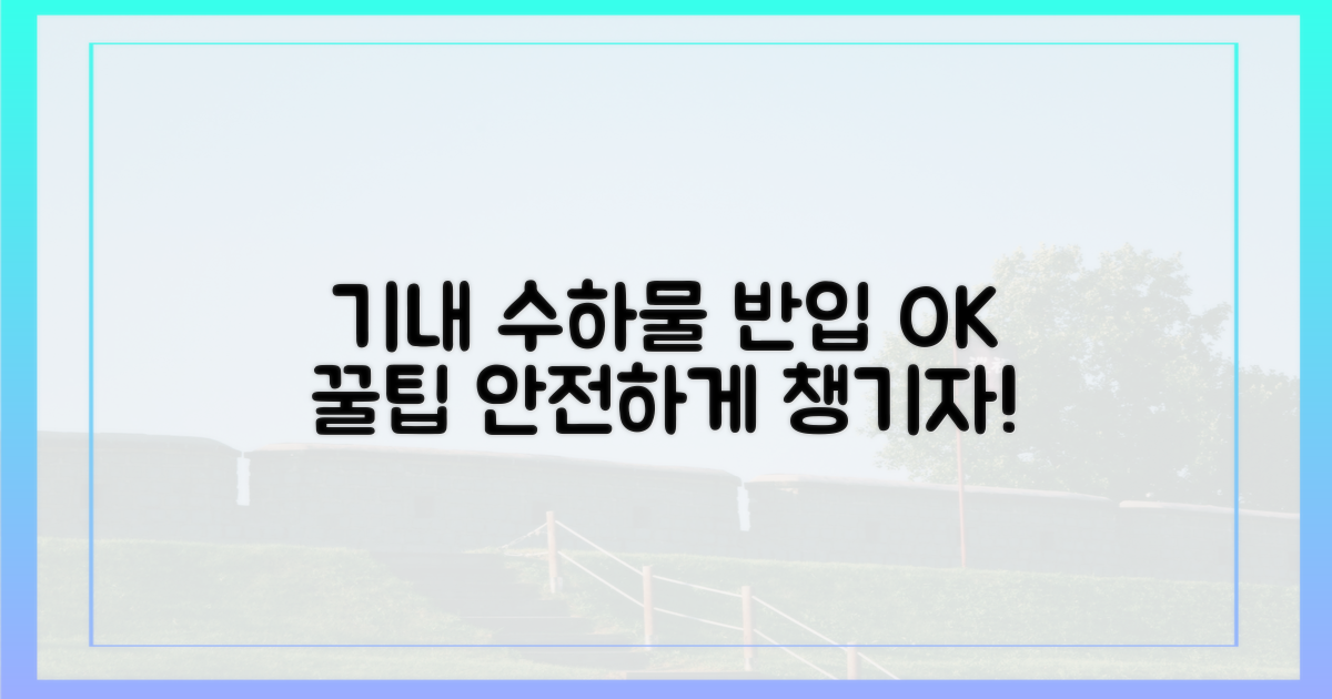 ✈️ 안전한 기내 반입 팁
