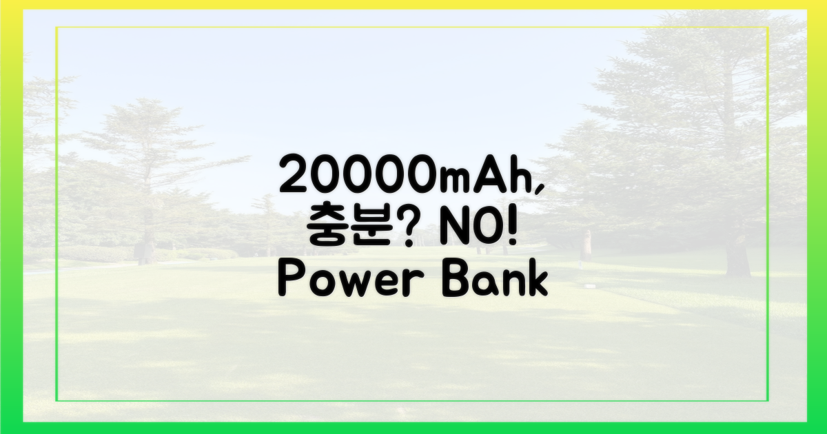 20000mAh, 정말 충분할까?
