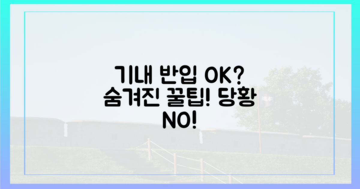 기내 반입, 문제없을까?