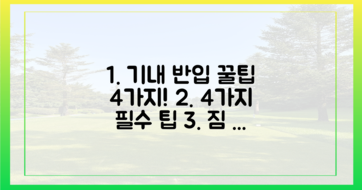 4가지 기내 반입 팁