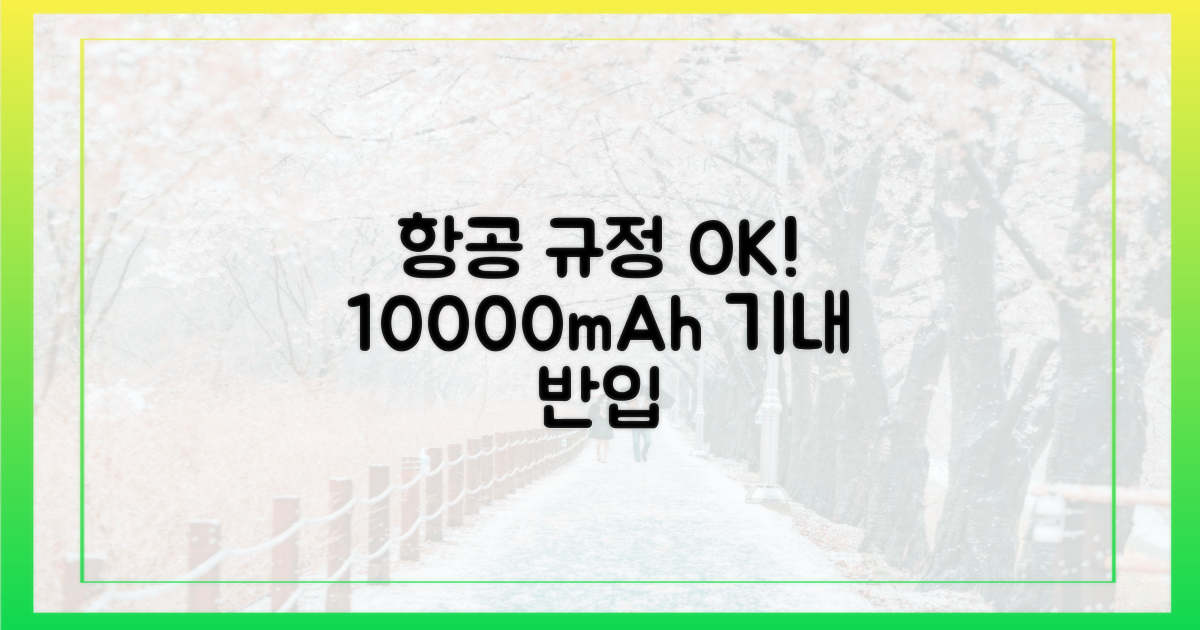 항공사 규정 완벽 분석, 10000mAh 반입 OK!