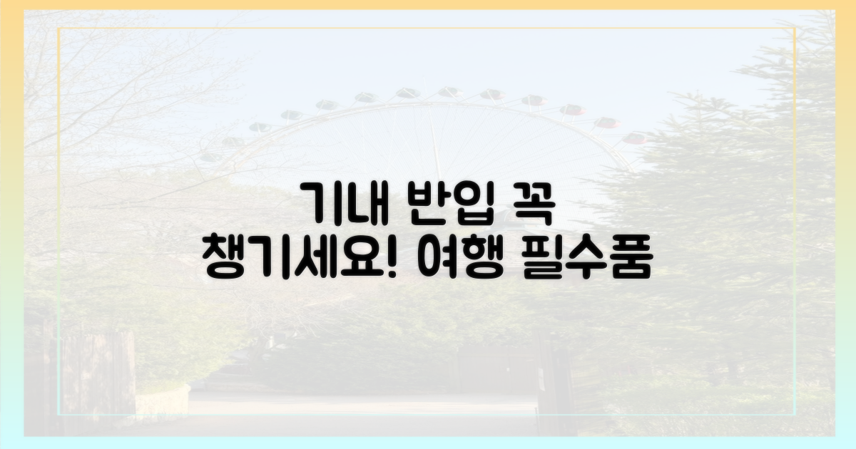 기내 반입, 꼭 필요해요!