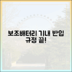 국내선 vs 국제선, 보조배터리 기내 반입 규정 차이점은?