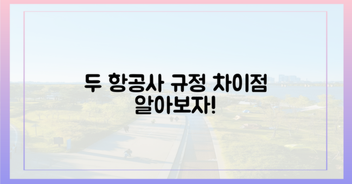 2개 항공사 규정 차이점
