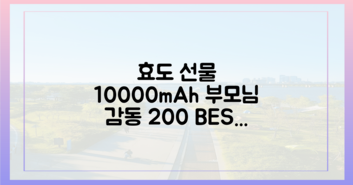 부모님께 효도 선물 10000mAh