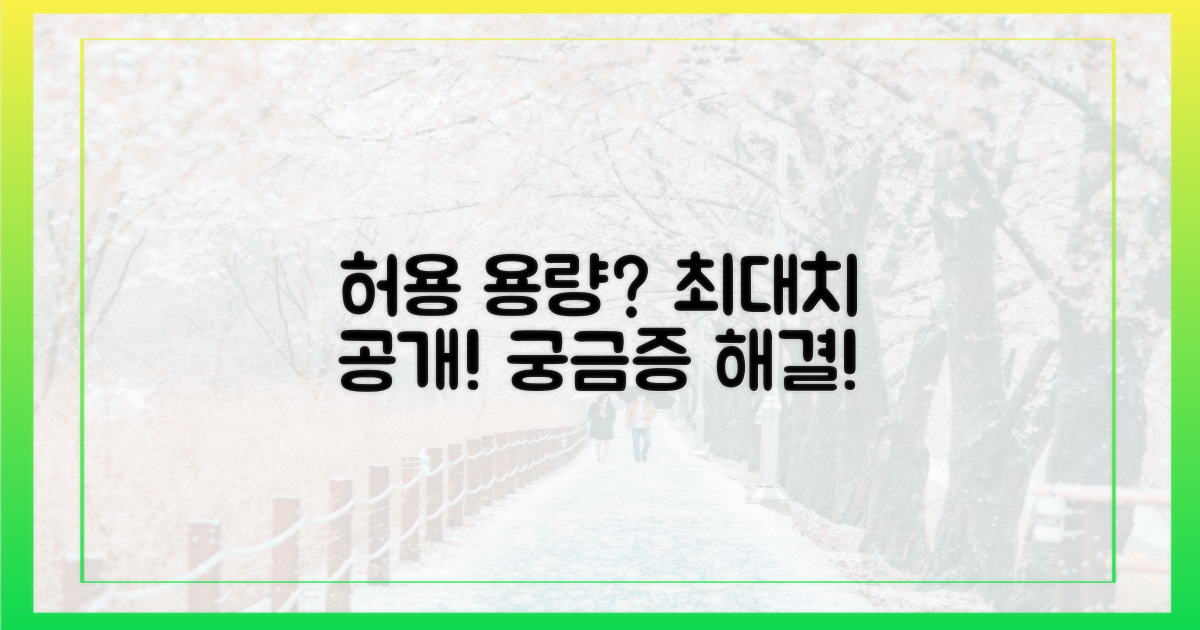 허용 용량, 얼마까지 가능할까?