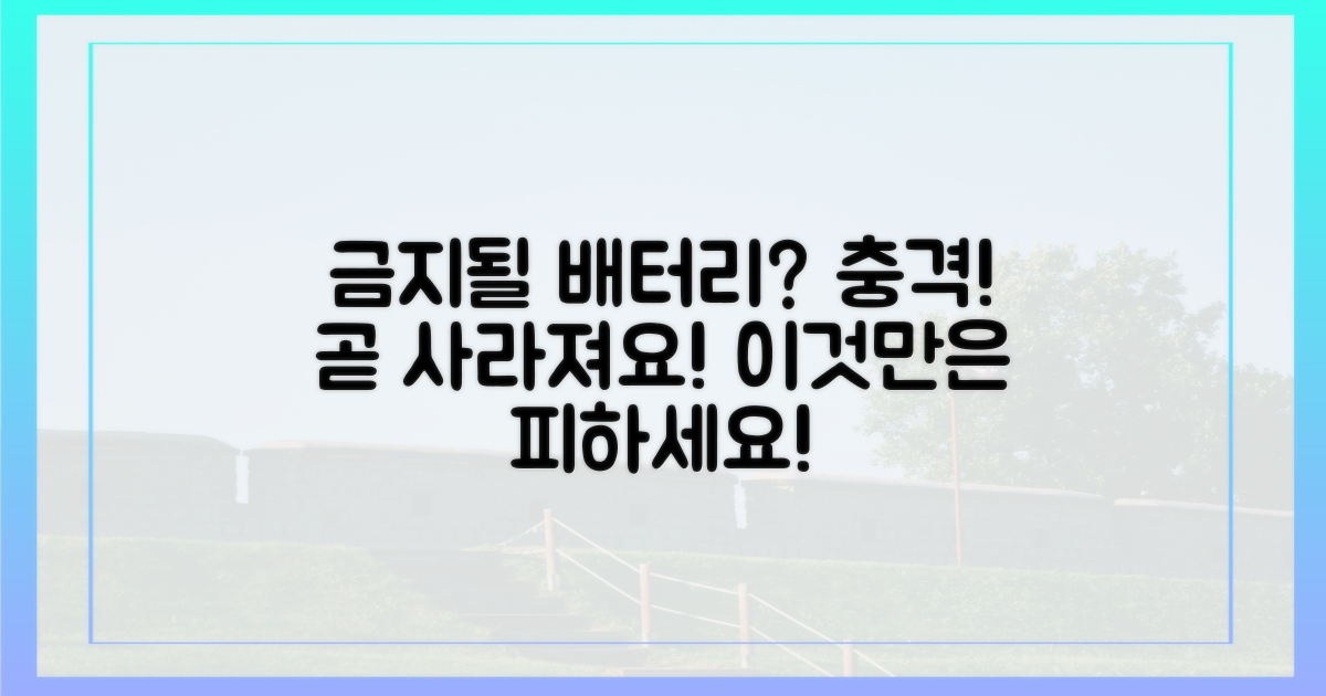 금지되는 배터리 종류는?