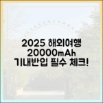 2025년 해외여행, 20000mAh 보조배터리 기내반입 이것만 기억하세요