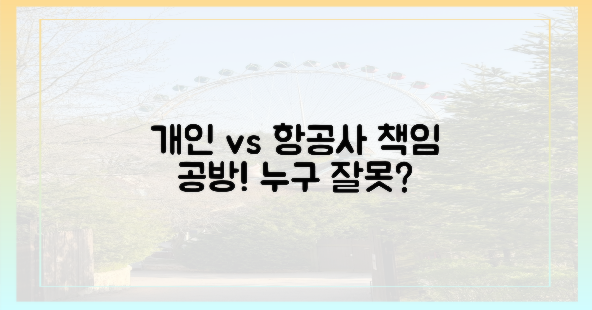 개인 vs 항공사 책임