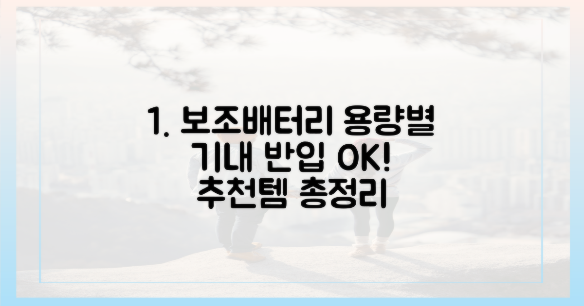 용량별 반입 가능한 보조배터리 추천