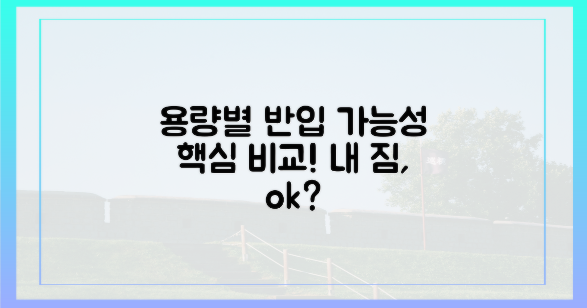 용량별 반입 가능성 비교