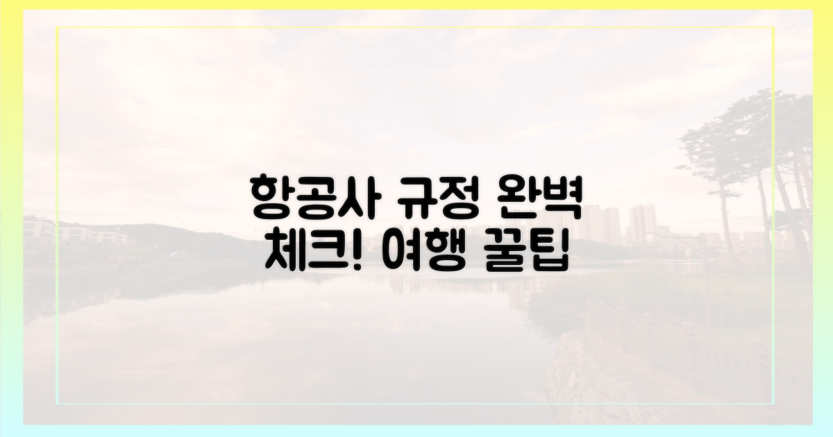 항공사별 규정 체크 가이드