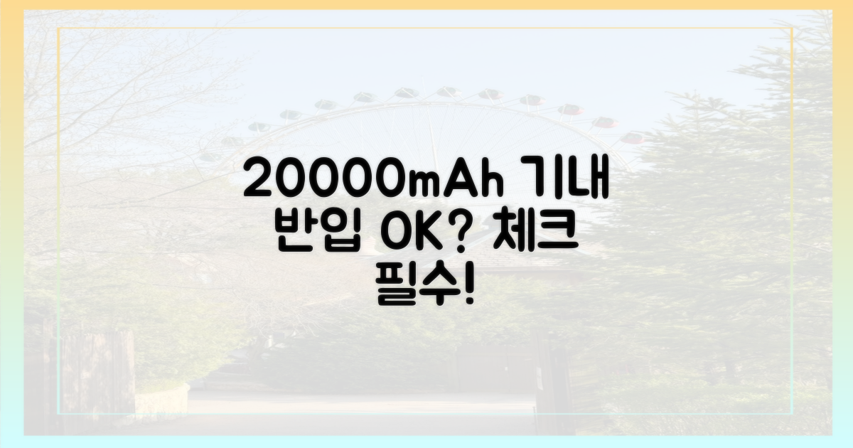 20000mAh, 기내 반입 가능한가요?