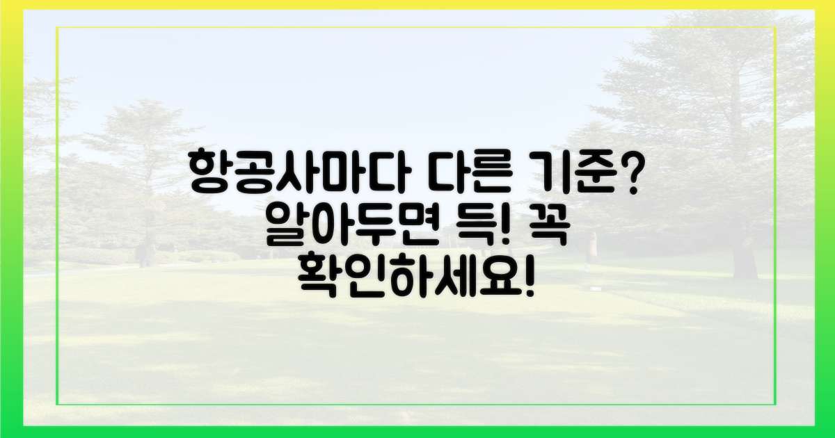 항공사마다 기준이 다르다던데?