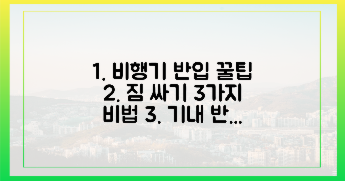 3가지 비행기 반입 팁
