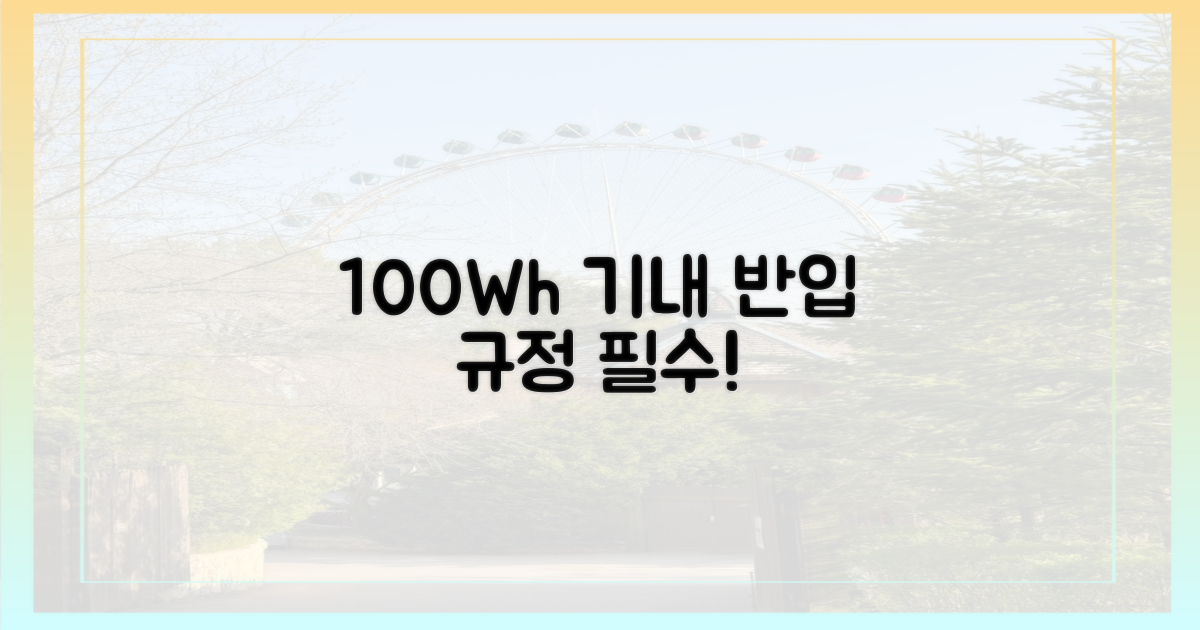 기내 반입, 100Wh 기준 이해하기