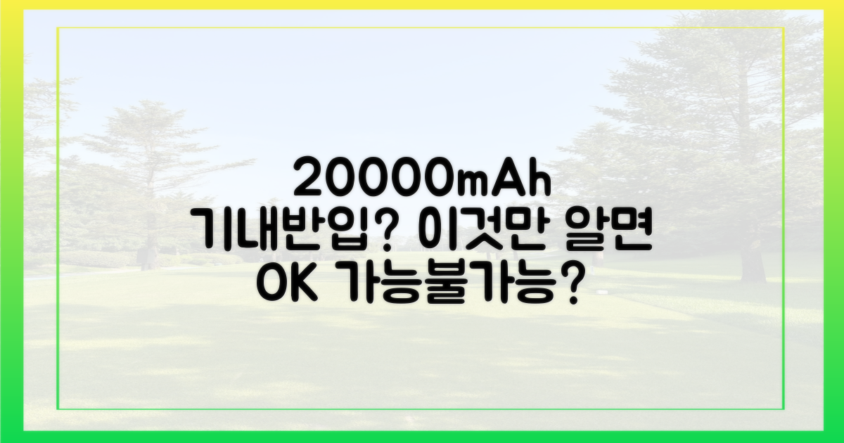 20000mAh, 기내 반입 가능 여부