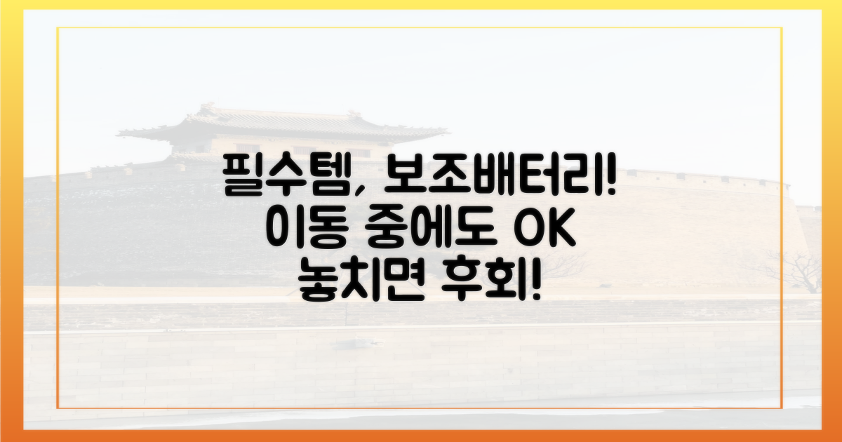 필수품, 보조배터리 챙기기