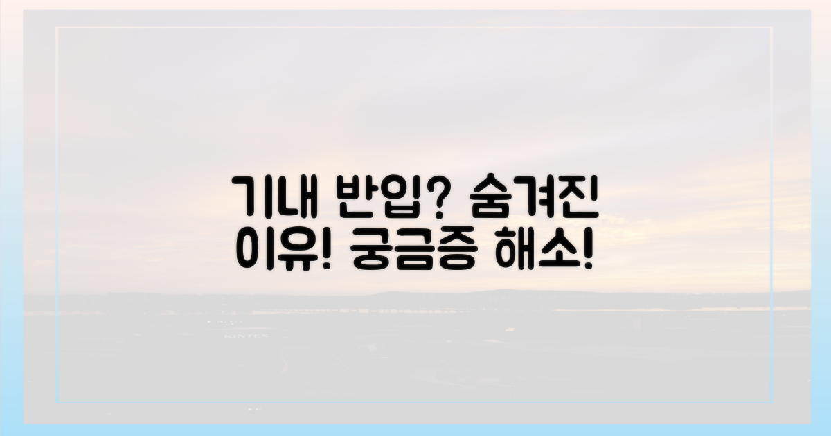왜 기내 반입만 가능할까?