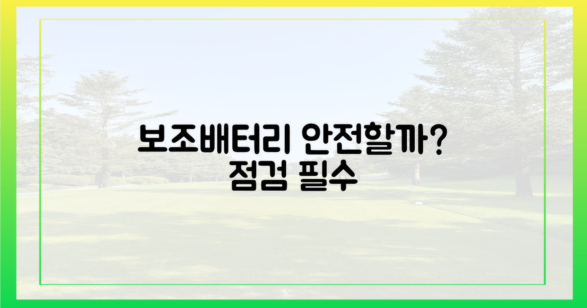 내 보조배터리, 괜찮을까?