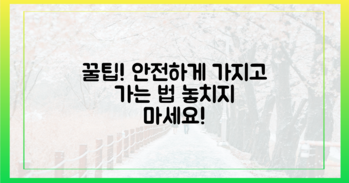 안전하게' 가져가는 꿀팁