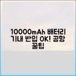 공항 보안 검색대에서 당황하지 않는 10000mAh 보조배터리 통과 팁