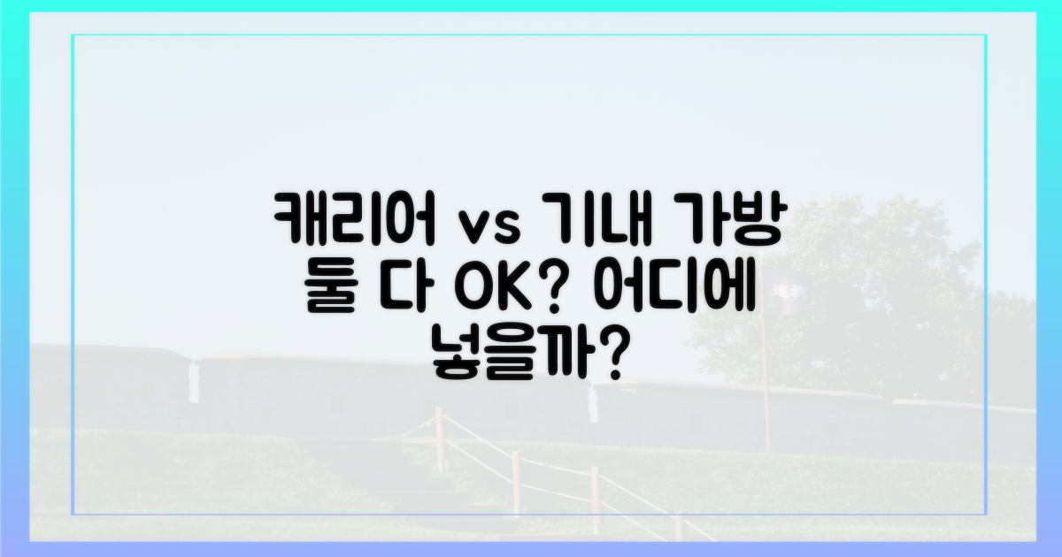 캐리어 vs 기내 가방, 어디에 넣어야 할까?