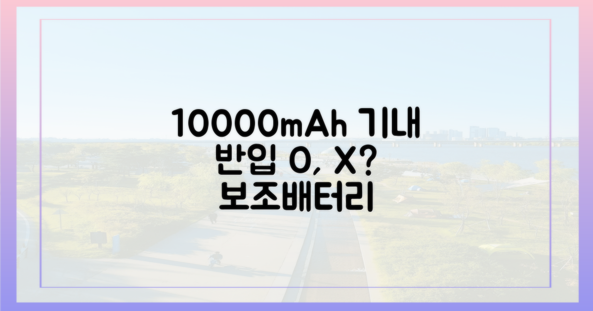 10000mAh 보조배터리, 기내 반입 규정 확인