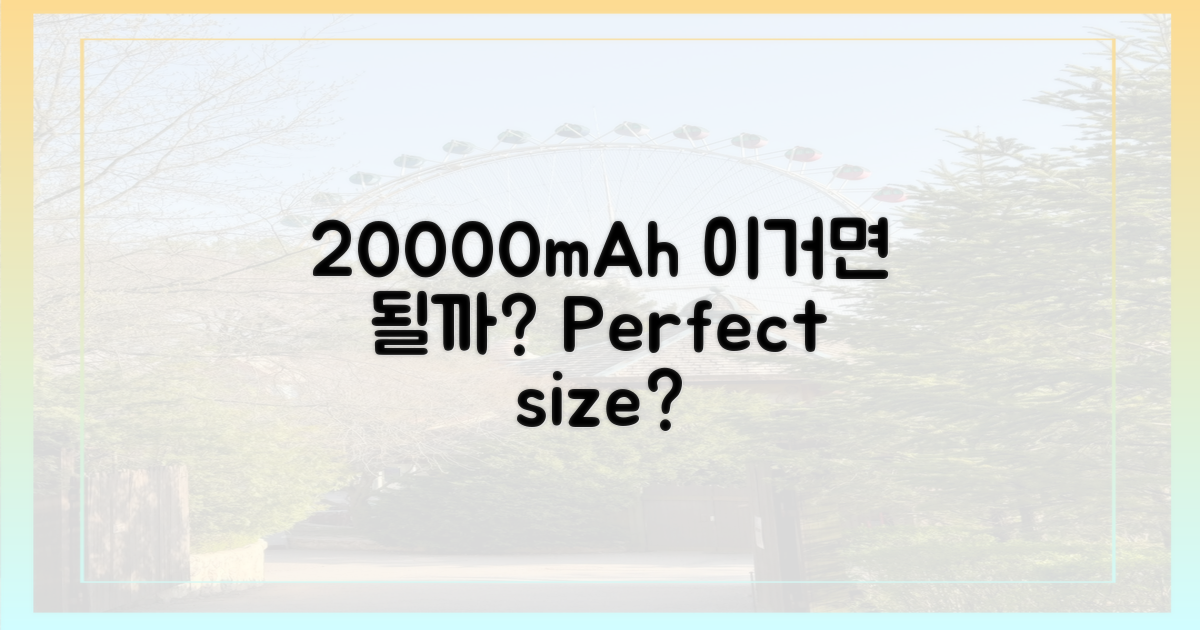 20000mAh, 딱 맞을까?