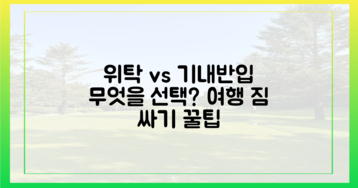 위탁 vs 기내 반입 비교