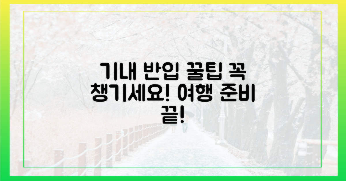 기내 반입, 이렇게 준비하세요