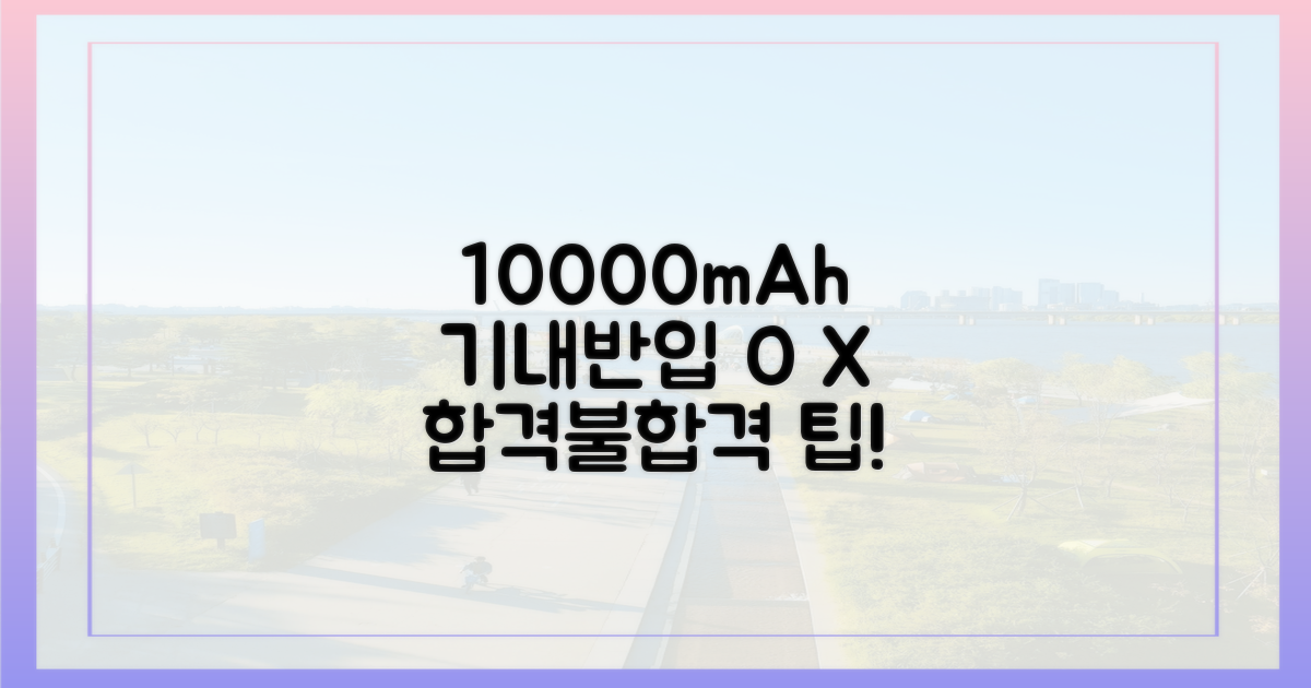 10000mAh, 기내반입 '합격'과 '불합격