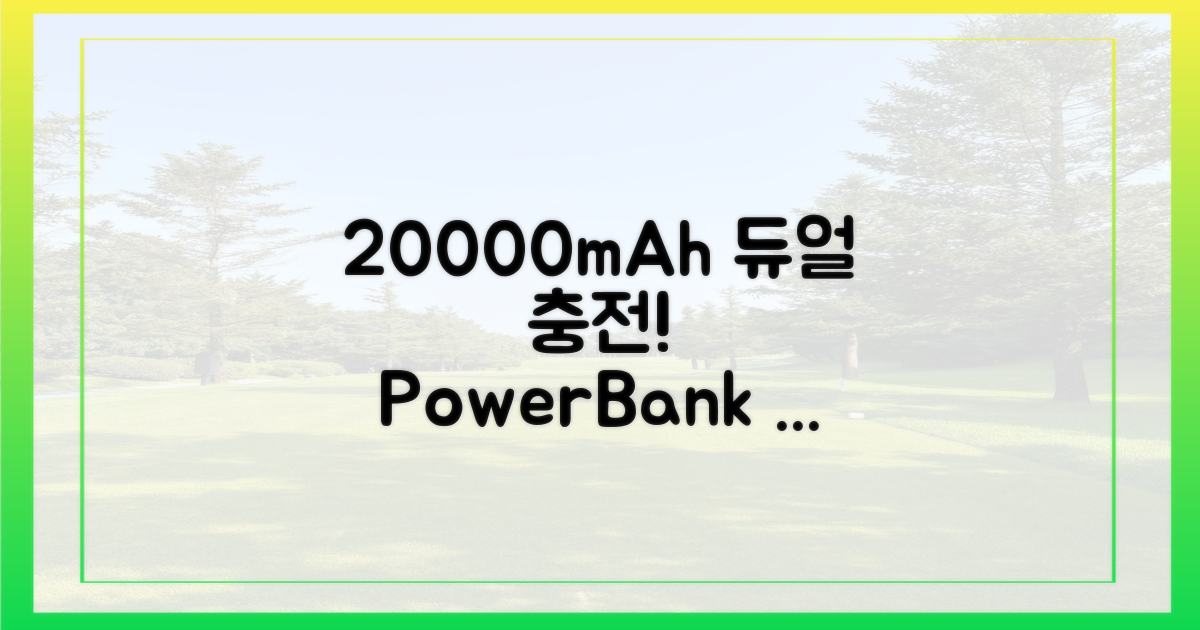 20000mAh, 2개 허용