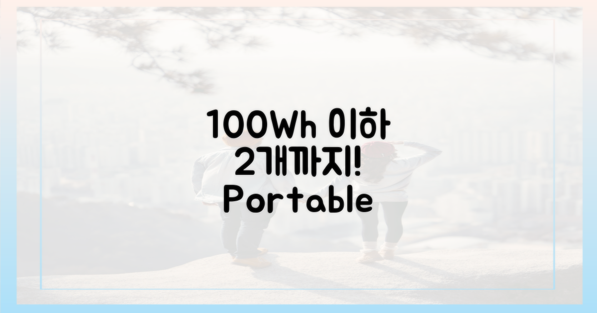 100Wh 이하 2개까지