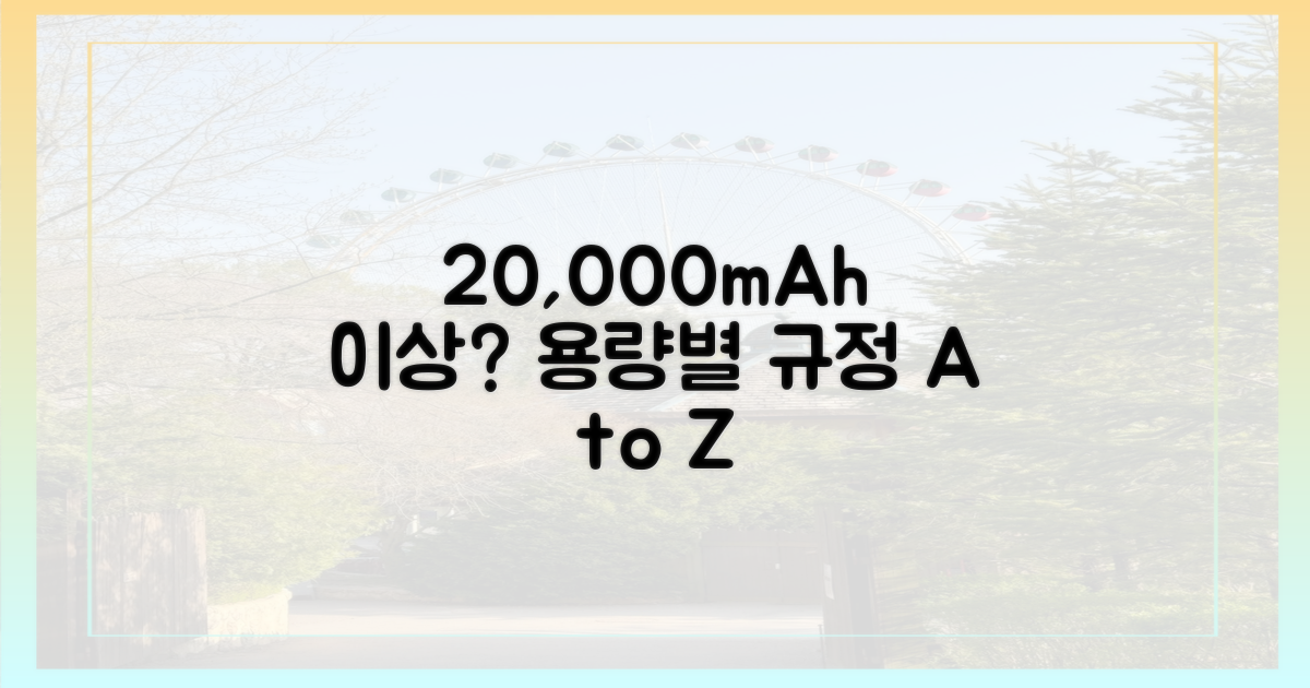 용량별 규정: 20,000mAh 이상은?