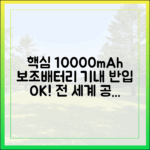 전 세계 공항 공통, 10000mAh 보조배터리 기내 반입 불변의 법칙