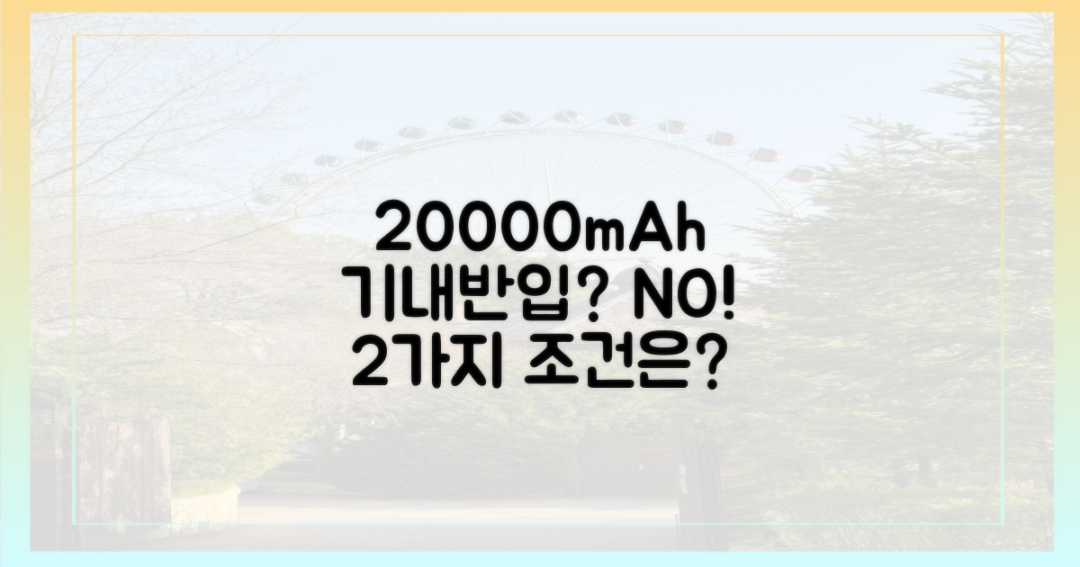 20000mAh, 2가지 반입 조건