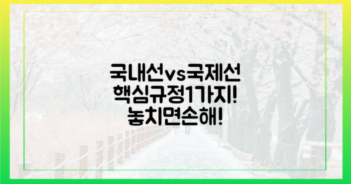 국내선, 국제선 1가지 주요 규정
