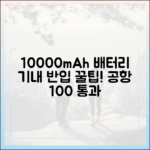 전 세계 공항 공통! 10000mAh 보조배터리 기내 반입 불변의 법칙