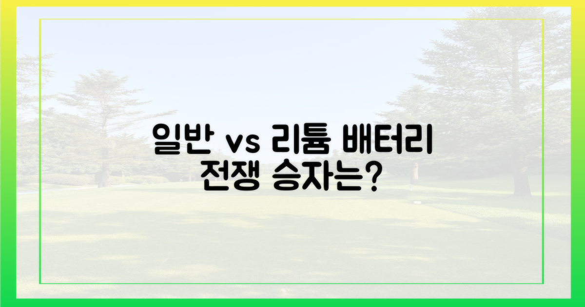 일반 vs 리튬 배터리