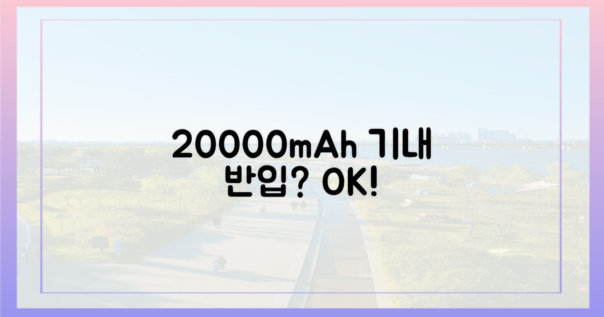 20000mAh 보조배터리, 기내반입 가능할까?