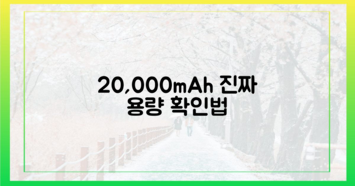 20,000mAh 기준 확인법
