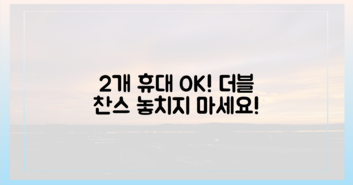 2개까지 휴대 가능