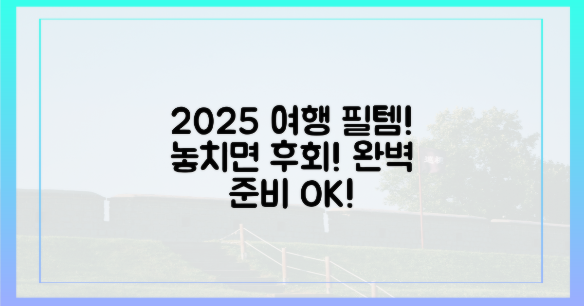 2025년 여행 핵심 준비물