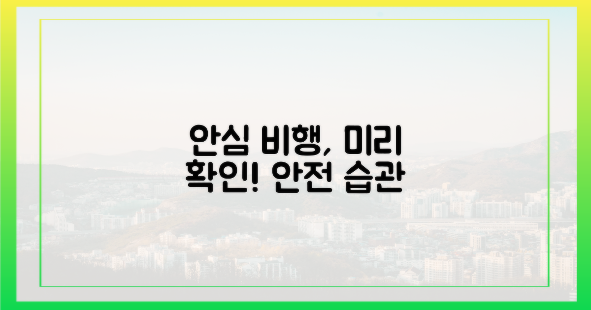 안심 비행, 미리 확인하는 습관