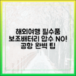해외여행 필수품 보조배터리, 공항에서 압수당하지 않는 완벽 팁