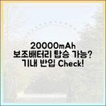 내 20000mAh 보조배터리, 과연 비행기에 가지고 탈 수 있을까?