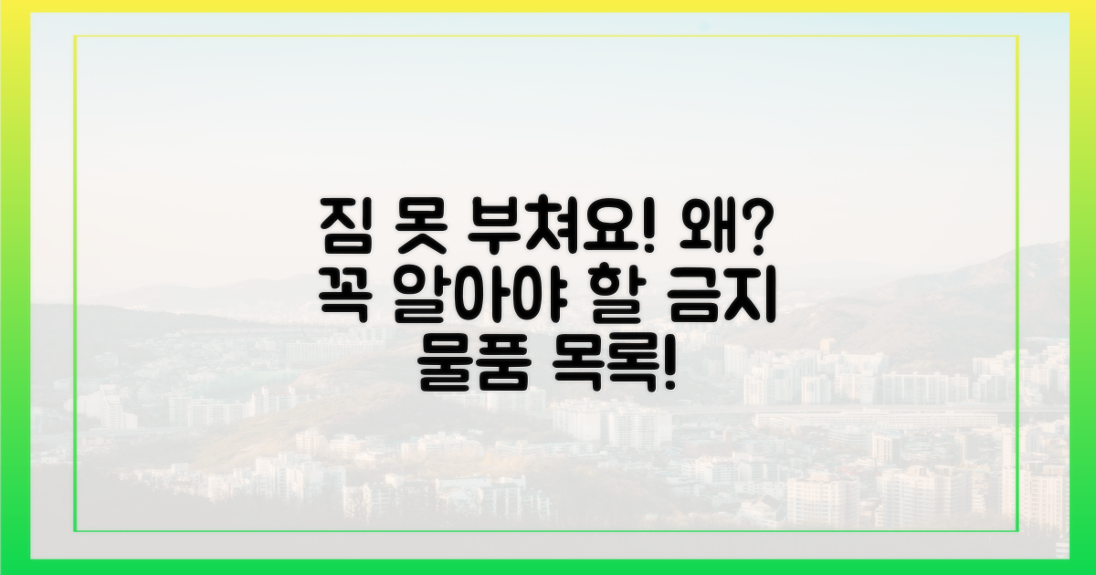 위탁 수하물 금지, 이유는?