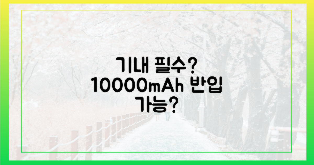 10000mAh, 기내 반입 필수?